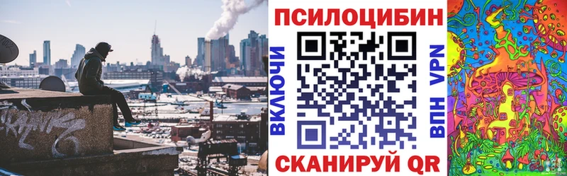 хочу Рославль OMG ссылки Галлюциногенные грибы Psilocybe