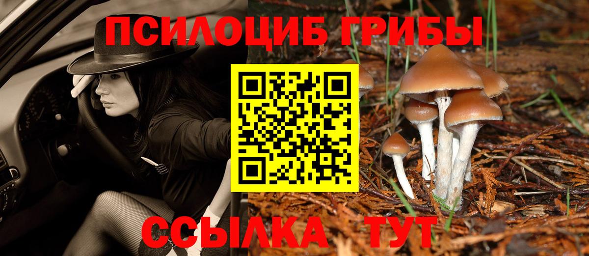 Рославль  Псилоцибиновые грибы Psilocybine cubensis  Галлюциногенные грибы Cubensis  Вход с VPN 