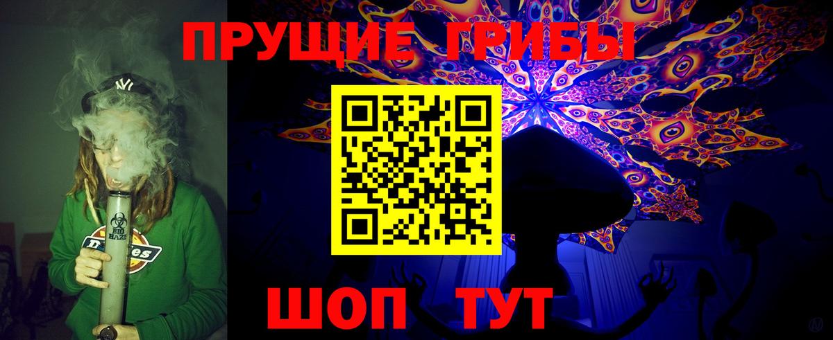 Псилоцибиновые грибы Psilocybe Рославль